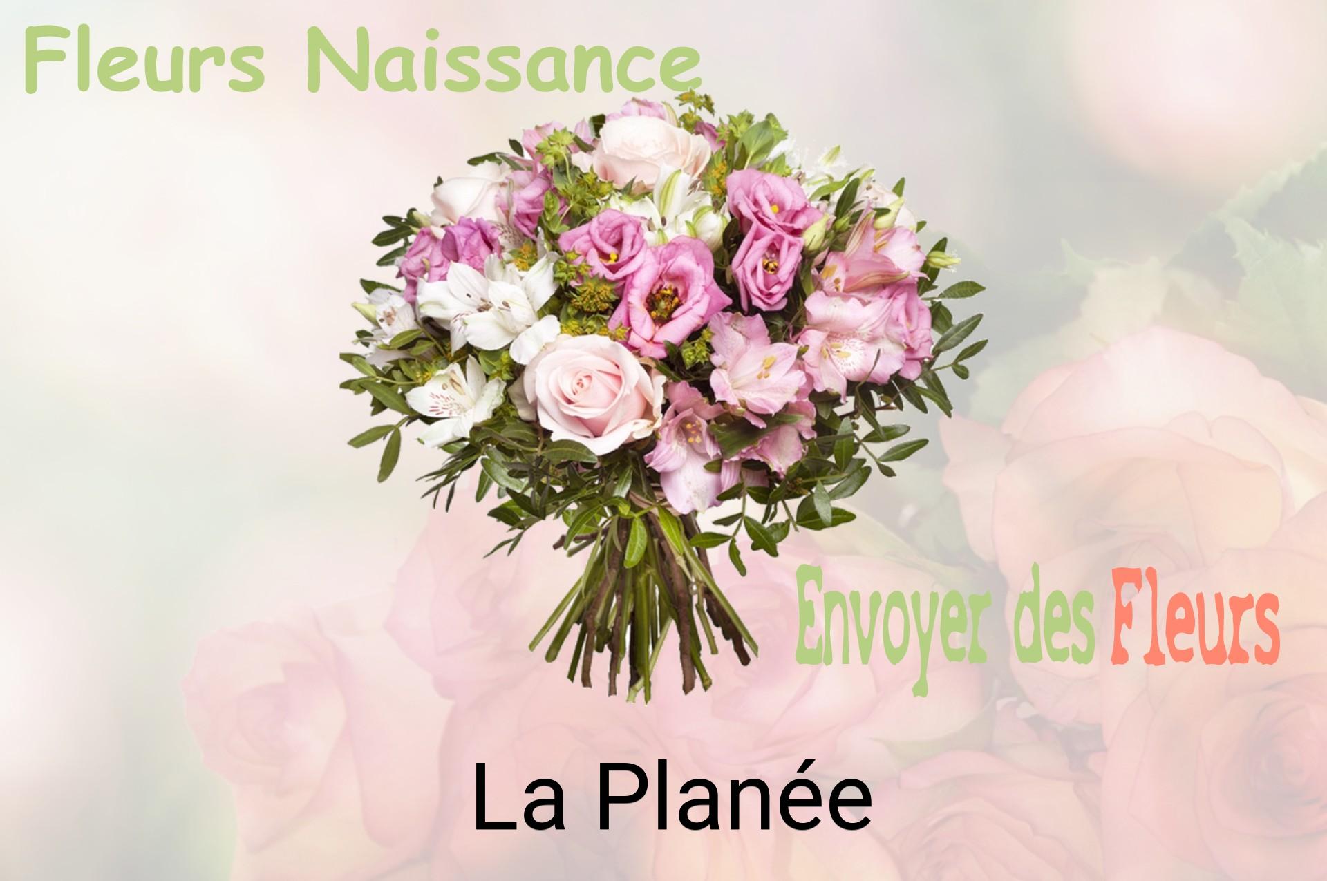 Bouquet de fleurs de naissance livré à La Planée